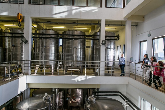 Melnik winery